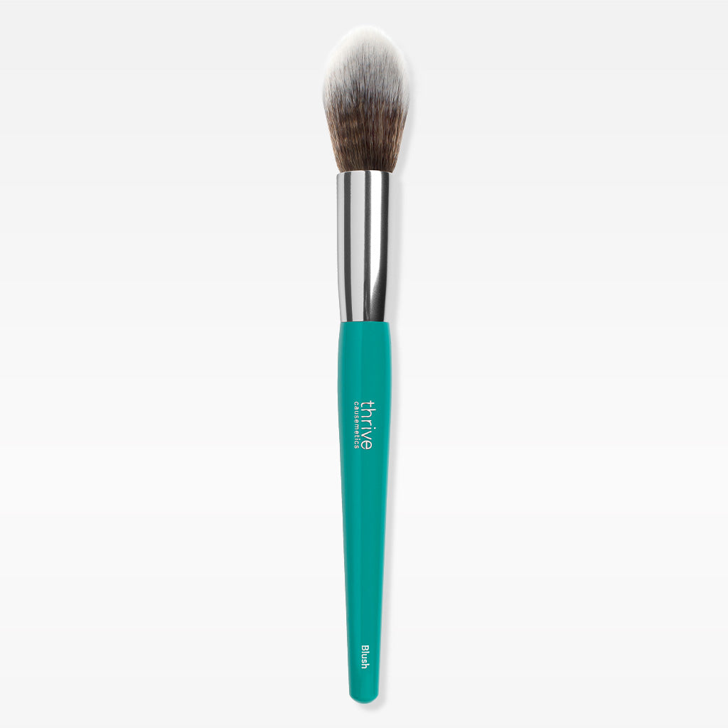 Diffusing Definition Brush Urban Decay Ud Pro Diffusing Blush Brush – VJIPHE